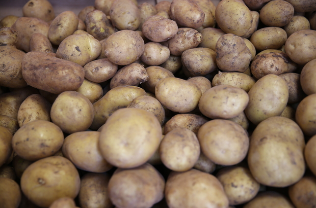 Patates